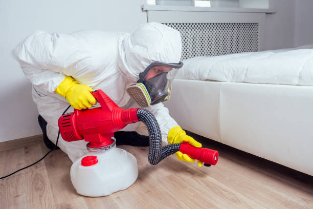 Best Affordable Pest Control Services  in Fayette, MS